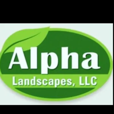 Alpha Landscape