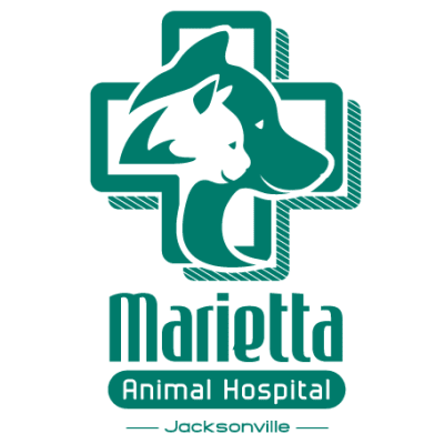 Marietta Animal Hospital