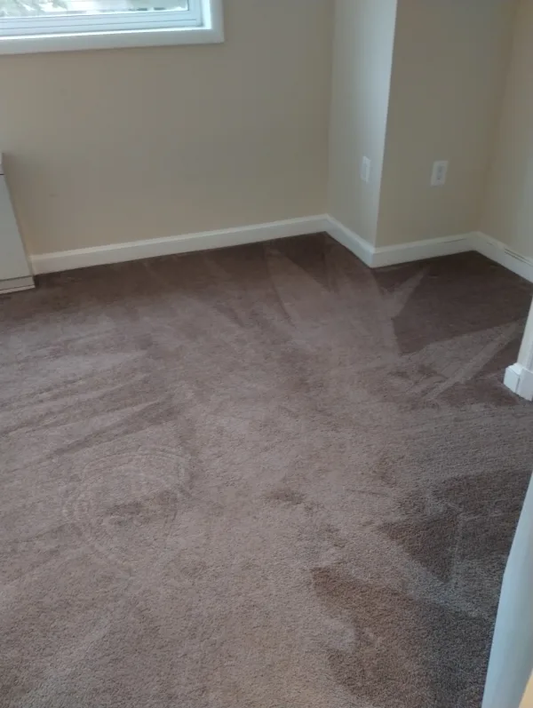 Carpet cleaning 