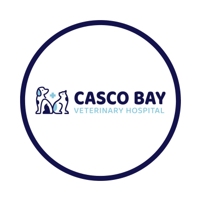 Casco Bay Veterinary Hospital