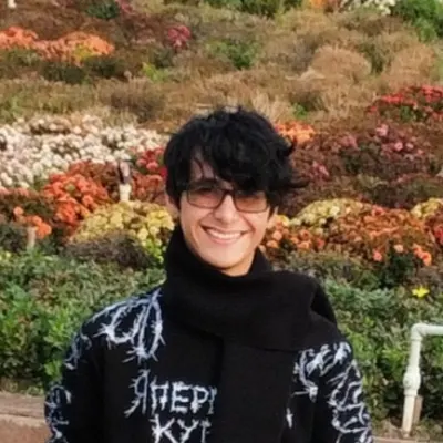 High School Math And Physics Tutor