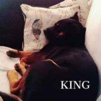 We Love Our Fur Babies