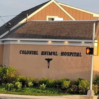 Colonial Animal Hospital