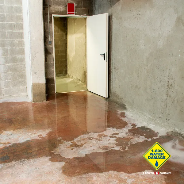 1-800 Water Damage, A Belfor Company, Emergency Restoration Services, Storm Damage, Flash Flood Water Removal, Water Damage Extraction, Remediation, Biohazard, Sewage, Cleanup, New Jersey
