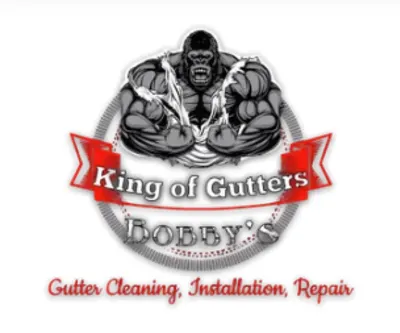 Bobbys Gutter Cleaning & Repair