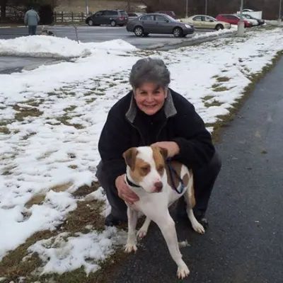 Elaine Cury Dog Obedience