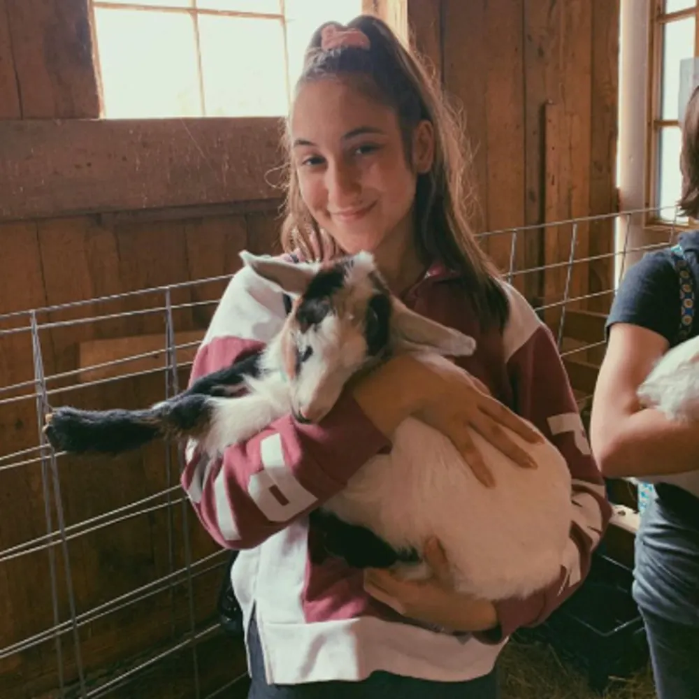 Animal Lover Willing To Take Care Of Cats And Dogs