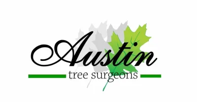 Austin Tree Surgeons