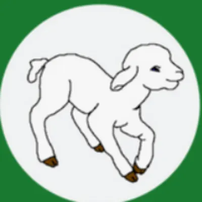 Little Lambs Preschool Daycare Ministry