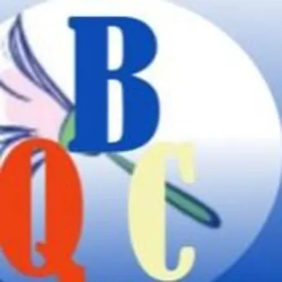 Best Quality Cleaners Llc