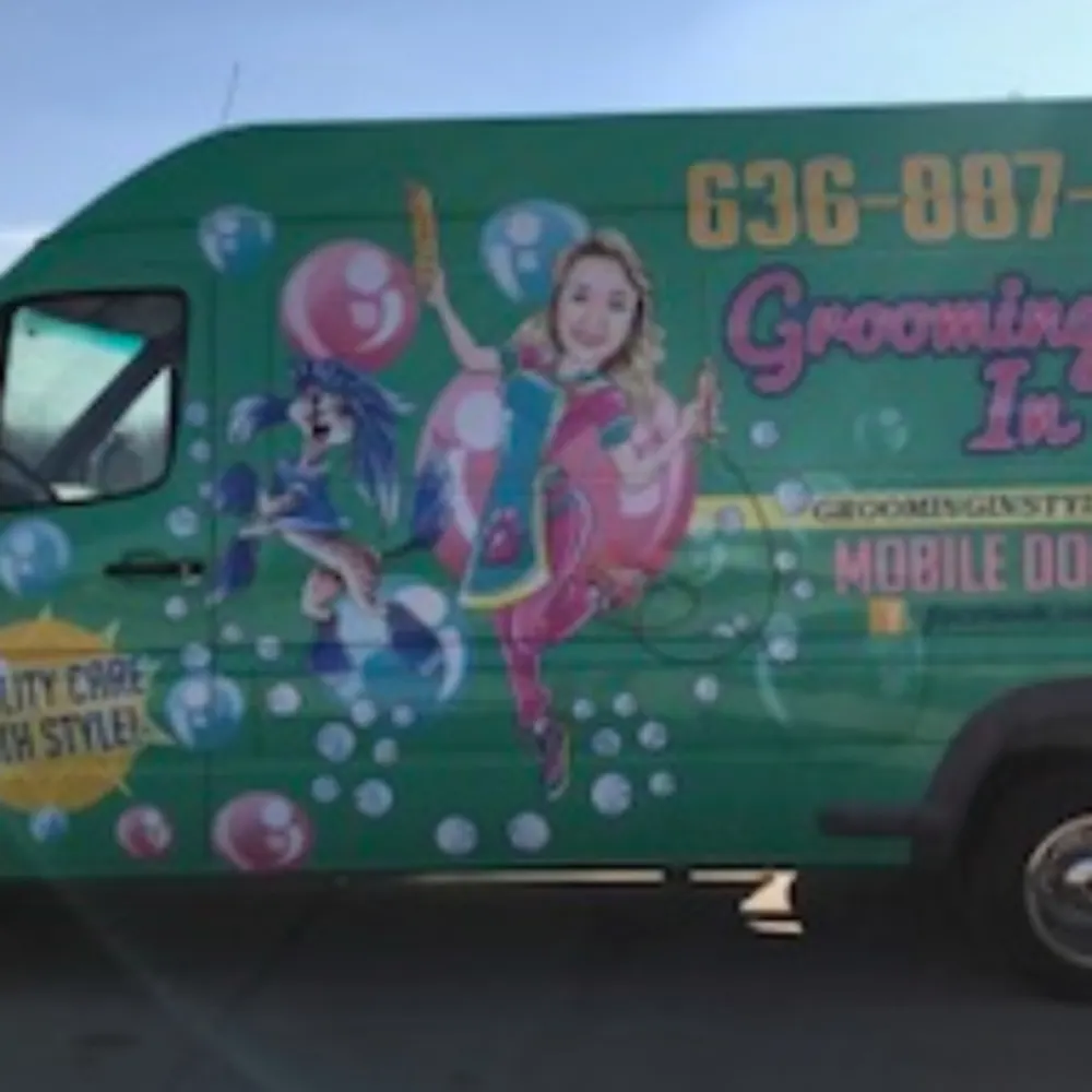 Grooming In Style