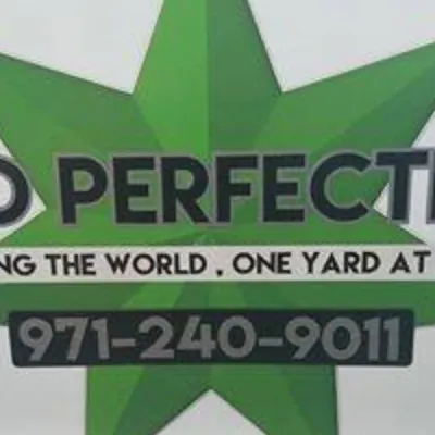 Yard Perfections LLC