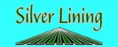 Silver Lining Lawn Care And Services