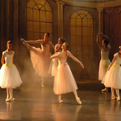 National Ballet Institute For The Arts