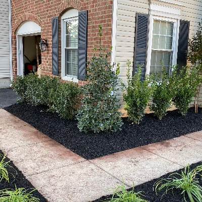 Cerros Landscaping