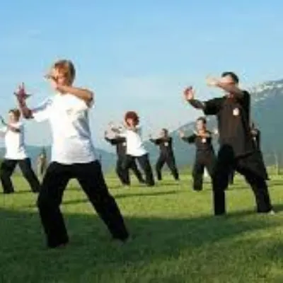 Wellness Tai Chi