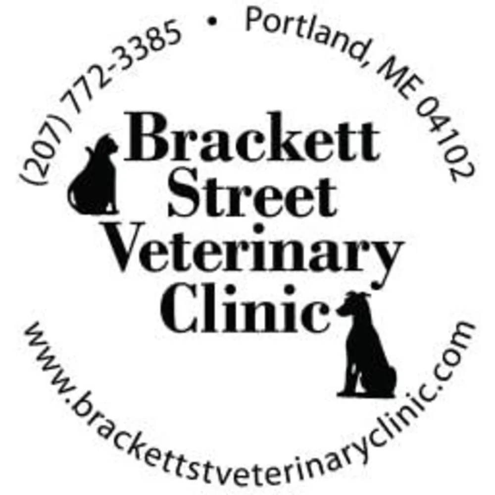 Brackett Street Veterinary Clinic