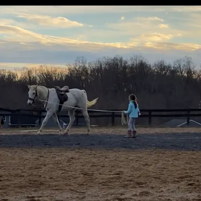 Alivio School Of Horsemanship