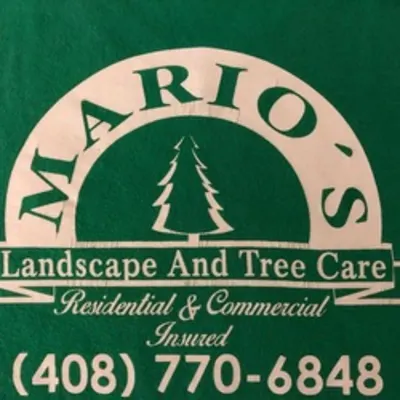 Mario's Landscape And Tree Care