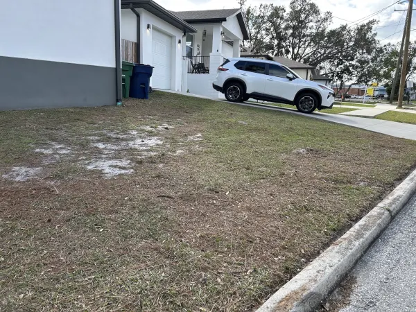 Lawn Service