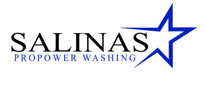 Salinas ProPower Washing