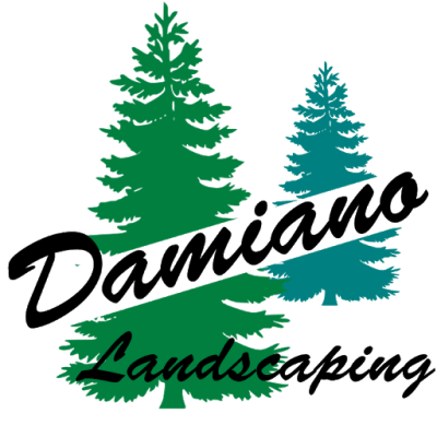 Damiano Landscaping - Lawn Maintenance
