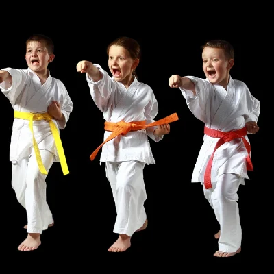 Mount Pleasant Karate