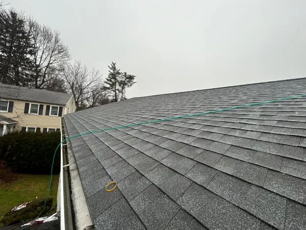 New shingle roof 