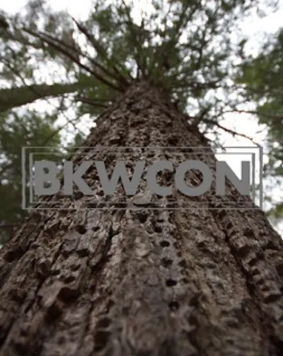 BK Williams Construction