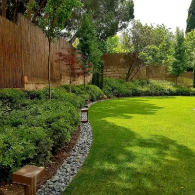 Astonishing Lawns