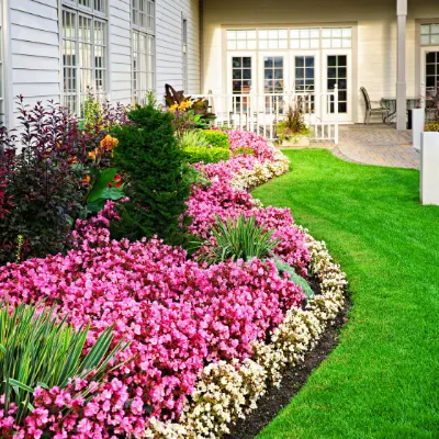 David Sauro Landscaping Inc.