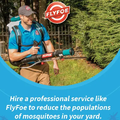 FlyFoe South Shore Mosquito And Tick Control