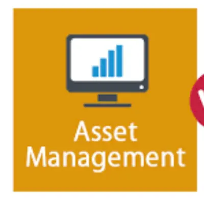 Asset Investment And Management