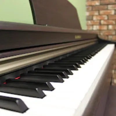 Developing Melodies Music Center