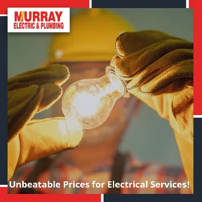 Murray Electrical Services