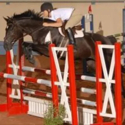 Portcullis Equine, LLC