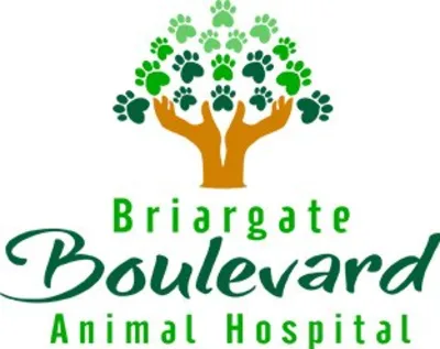 Briargate Boulevard Animal Hospital