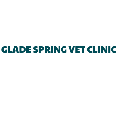 Glade Spring Veterinary Clinic