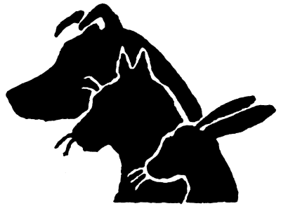 Creature Comforts Animal Clinic
