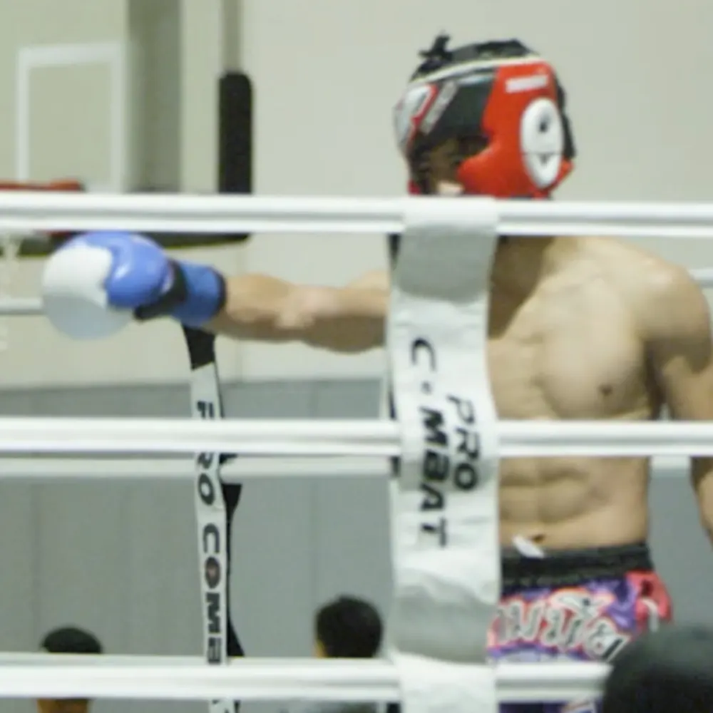 Warrior Martial Arts