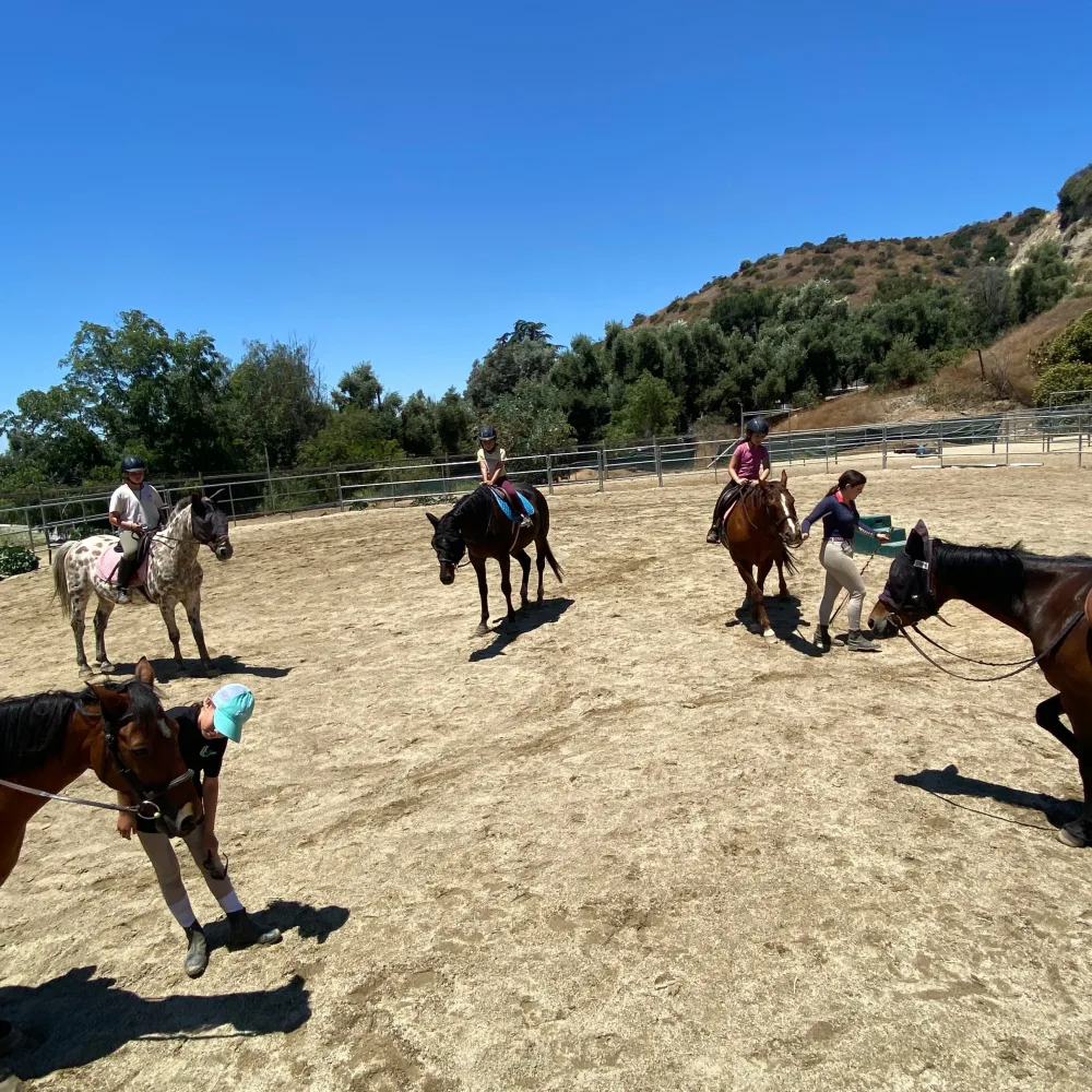 Epona Riding Academy And Natural Horsemanship