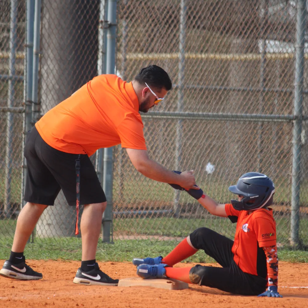 Baseball Legacy