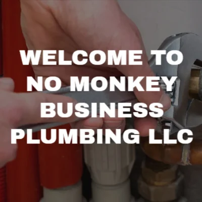 No Monkey Business Plumbing  LLC