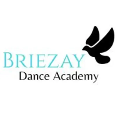 Briezay Dance Academy, LLC.
