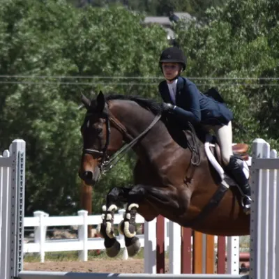 Legacy Equestrians