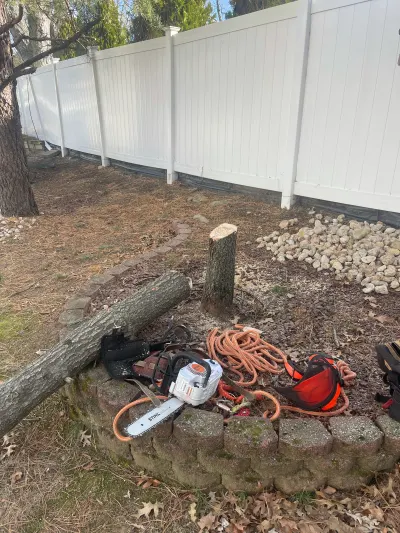 Fresnos Tree Service Llc