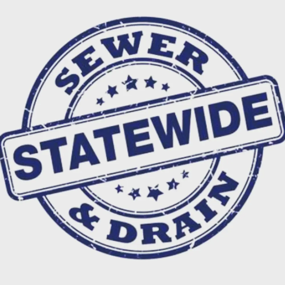 Statewide Sewer And Drain Llc