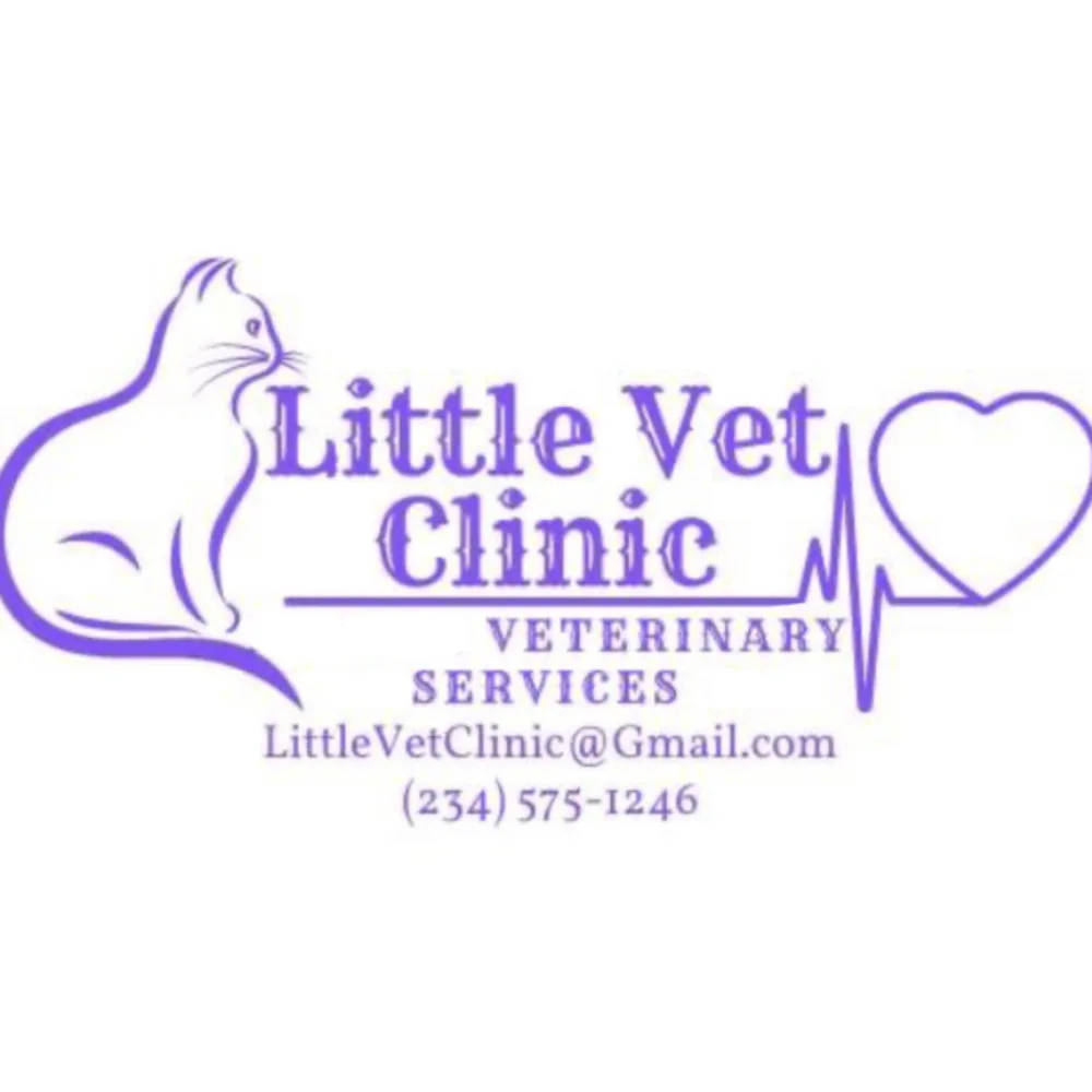 Little Vet Clinic