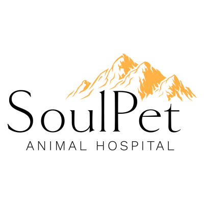 SoulPet Animal Hospital