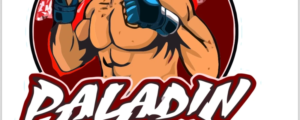 Paladin MMA Academy